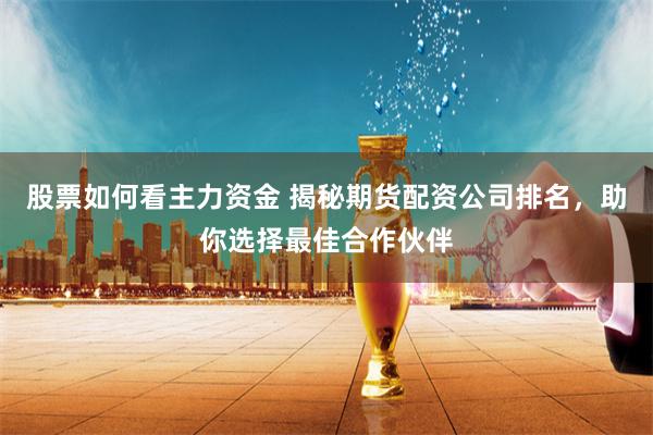 股票如何看主力资金 揭秘期货配资公司排名，助你选择最佳合作伙伴