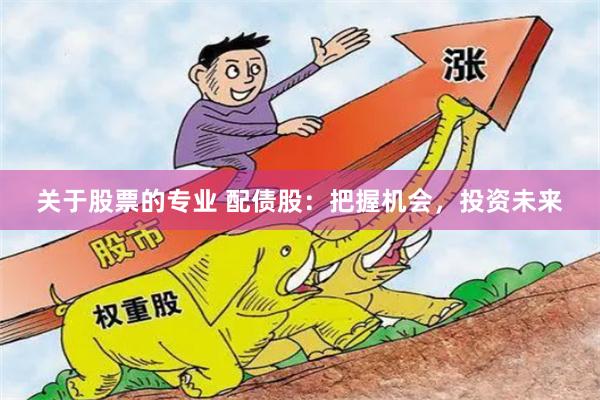 关于股票的专业 配债股：把握机会，投资未来