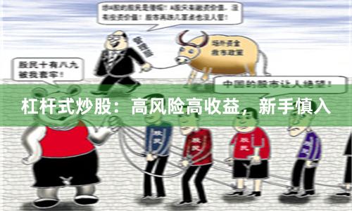 杠杆式炒股：高风险高收益，新手慎入
