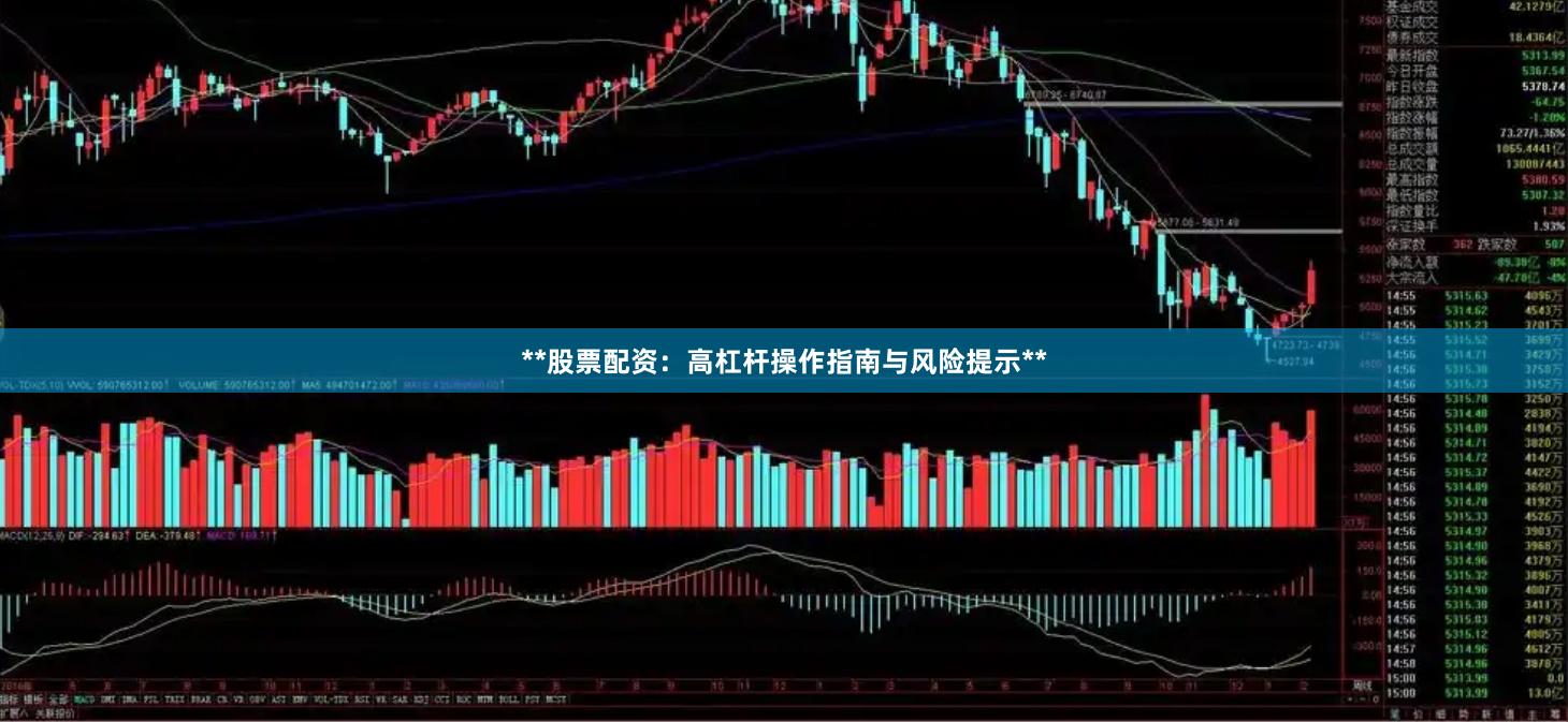 **股票配资：高杠杆操作指南与风险提示**