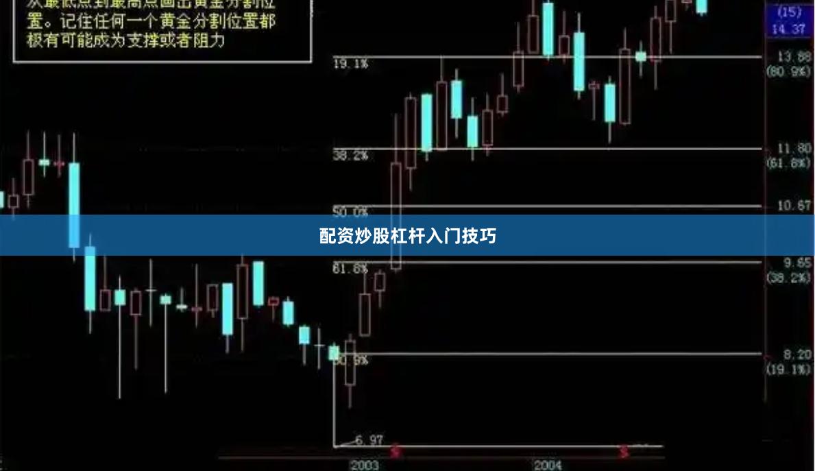 配资炒股杠杆入门技巧