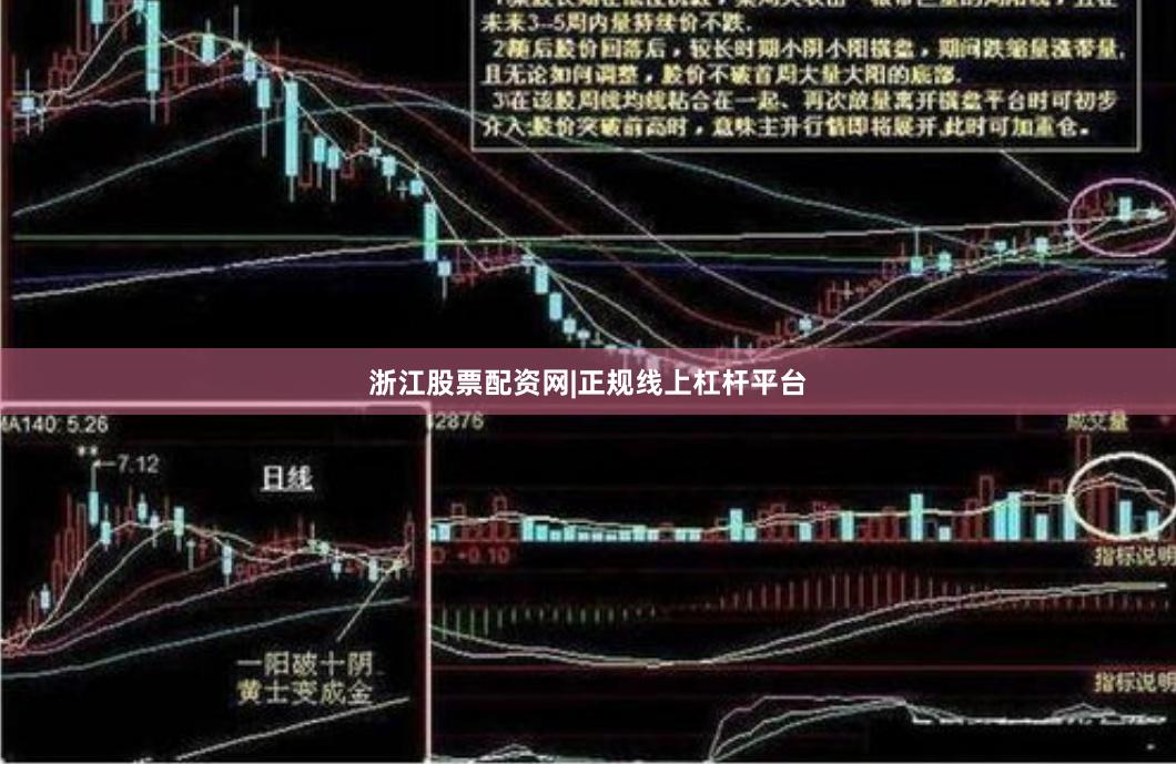 浙江股票配资网|正规线上杠杆平台